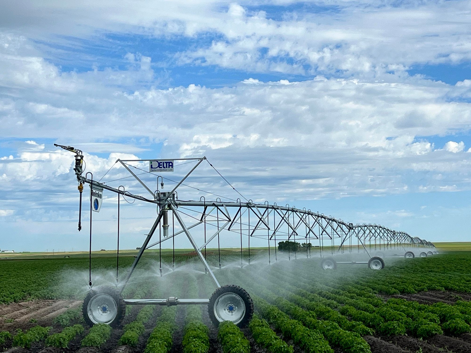 Reinke Pivot Reinke Pivot